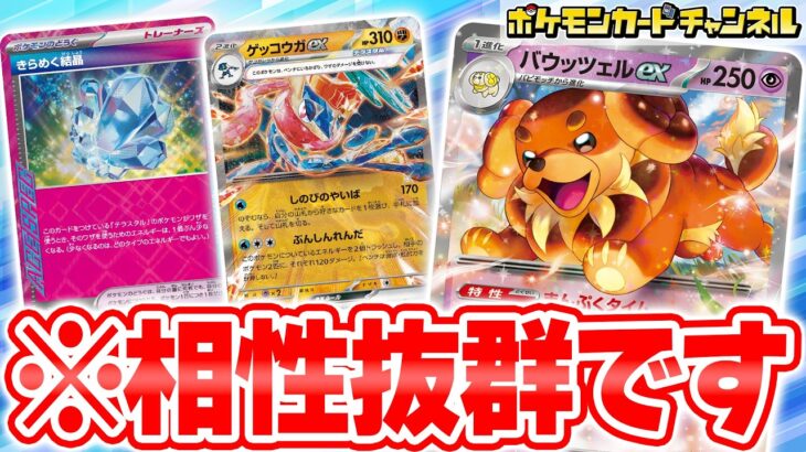 【ポケカ対戦】相性抜群！ゲッコウガexとバウッツェルexの組み合わせが強すぎる！？【ステラミラクル/ポケモンカード】