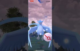 #フリーザー #イロチ #freezer #articuno #0144 #色違い　#pokemon #pokemongo #ポケモン　#ポケモンgo #포켓몬 #포켓몬고