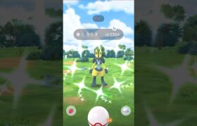 ついに🔥メガルカリオ実装👊色違いルカリオ✨️ #ポケモンgo #ルカリオ #メガルカリオ