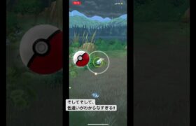 【小さすぎる】シビシラスの色違い、捕まえましたか?#ポケモンgo