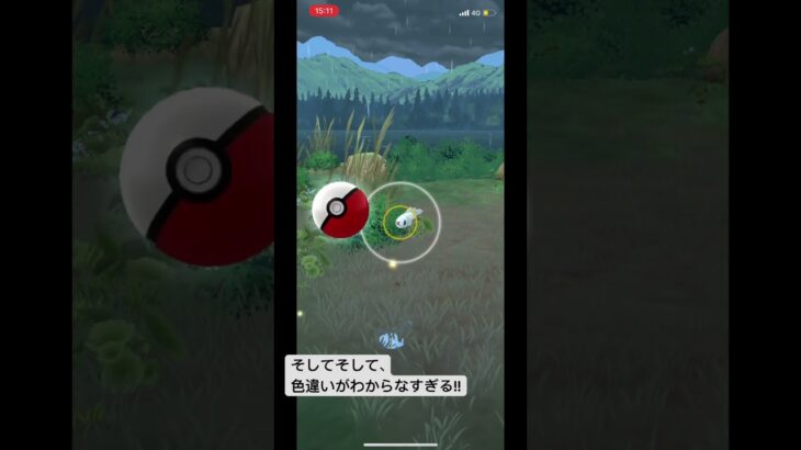 【小さすぎる】シビシラスの色違い、捕まえましたか?#ポケモンgo