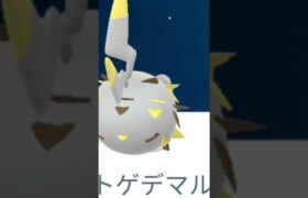 トゲデマル？ #ポケモンgo