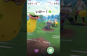 頑張れウツボット#ポケモンgoバトルリーグ #スーパーリーグ #ウツボット#チルタリス #ネギガナイト#biribiri  #pokemongo #victreebel