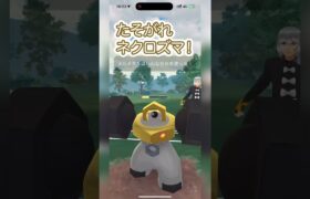 #ポケモンgo #gbl  たそがれネクロズマ出てきました！ ランドロス ゼルネアス vs メルメタル ギャラドス #shorts #マスターリーグ #pokemon