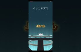 ワッカネズミ進化　#ポケモンgo #pokemon #pokemongo #ワッカネズミ #イッカネズミ #ポケモン