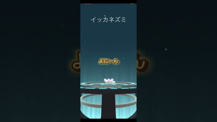 ワッカネズミ進化　#ポケモンgo #pokemon #pokemongo #ワッカネズミ #イッカネズミ #ポケモン