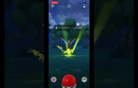 ポケモンgo 野生のケンホロウゲットチャレンジ　#pokemongo