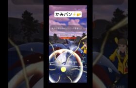 エアームドにもかみパンが良い⚡️🤛#ポケモンgoバトルリーグ #sl #ルカリオ #アローラキュウコン #ハクリュウ#はいよろこんで #pokemongo #lucario