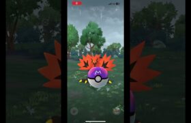 今週ポケモンgoで起きた奇跡3連発！！(1500いいね超えたらポケカボックス開封？！)#ポケモンgo #ポケモンカード #pokemongo#はいよろこんで