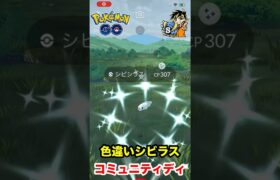 【ポケモンgo】7月コミュニティデイは色違いシビラス厳選！小さくてわかりづらい？？？　#ポケモン　#ポケモンgo #シビラス　#色違い厳選　#コミュニティデイ　#shorts #パチストラッシュ