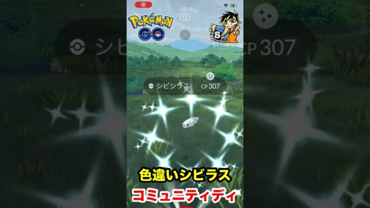 【ポケモンgo】7月コミュニティデイは色違いシビラス厳選！小さくてわかりづらい？？？　#ポケモン　#ポケモンgo #シビラス　#色違い厳選　#コミュニティデイ　#shorts #パチストラッシュ