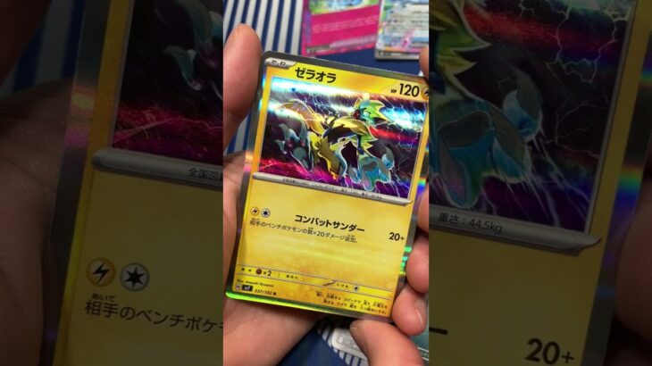 最新弾ステラミラクルがヤバすぎた #pokemontcg #ポケモン #ポケカ