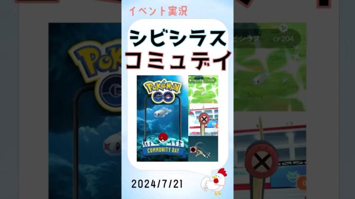 【シビシラス：コミュニティデイs】 暑い中 楽しみました #ポケモンgo #色違い #レイドバトル #シビシラス #コミュニティデイ #shinypokemon #pokemongo