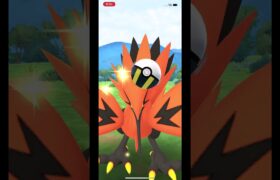 ガラルサンダー三回目の正直！#shorts #ポケモンgo #ガラルサンダー