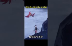 エリアゼロにポケモンを落としてみた　#ポケモンsv #切り抜き