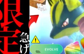 【ポケモンＧＯ・速報】コレを今から優先！！〇〇しないとキツイ！？まさかのメガルカリオに超限定のボーナスでさらにヤバイことに・・？【色違いポケモン・イッカネズミ・レイドデイ】