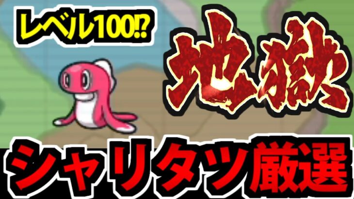 【ポケモン】期間限定!?レベル100の色違いシャリタツを厳選する生放送