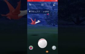 ゲットの瞬間　パート1025 ポケモンgo ラティアス　#pokemon