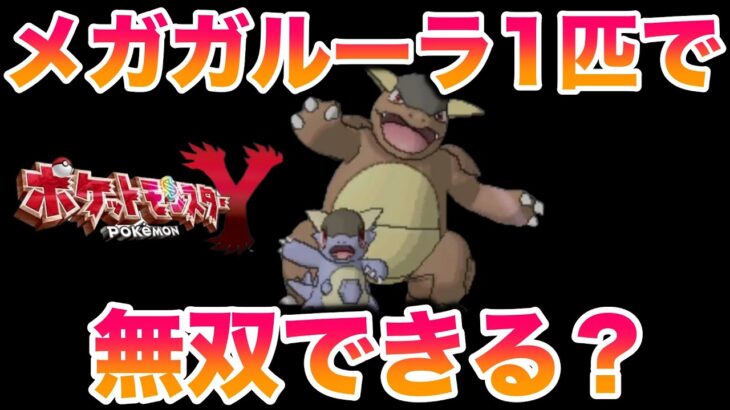 【検証】最強のメガガルーラ1匹でストーリーは無双できる？【ポケモンXY】