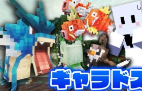 ポケモンだらけの世界で伝説のポケモンを捕まえる #2 ギャラドス怖すぎるだろ【マインクラフト / Cobblemon】