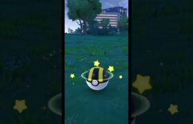 大発見報酬 (2024/8/15)【ポケモンGO】