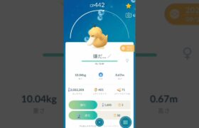 2024年最新版！　コダック大喜利が面白い!　ポケモンGOネタ　#pokemon　#pokemongo 　#ネタ　#おすすめ