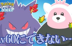 【ポケモンスリープ】レベル60にできない……