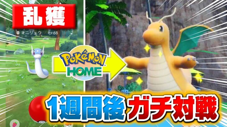 ポケモンGOで捕まえたポケモンしか使えない!? 過去一過酷な対戦企画に引きこもり廃人が挑戦した結果……