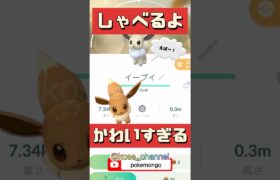 【ポケモンGO】イーブイ語？いきなりお話始めたイーブイがかわいすぎる！ #イーブイ #エバー #イーブイおしゃべり