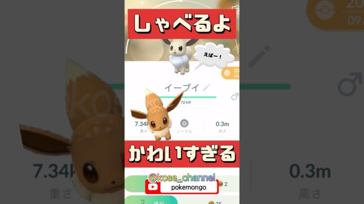 【ポケモンGO】イーブイ語？いきなりお話始めたイーブイがかわいすぎる！ #イーブイ #エバー #イーブイおしゃべり