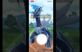 【ポケモンGO】これは何でですか？