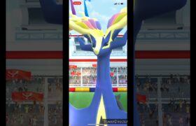 【ポケモンGO】ゼルネアス　レイドバトル