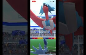 【ポケモンGO】メガボーマンダ　レイドバトル