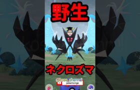 【ポケモンGO】最高の相棒になれたら出てきたネクロズマ！ #野生ネクロズマ #ネクロズマ #最高の相棒 #2024年8月29日