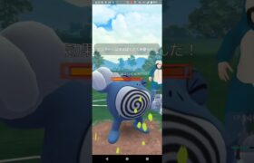 スーパーリーグ【ポケモンGO】ヌメルゴン、グライガー、エルフーン