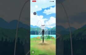 ポケモンGO❗️色違い🌟フェローチェ出現😆補填の数が足りない…😓