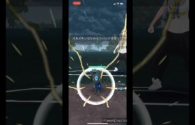 【ポケモンGO】スーパーリーグ　ブラッキー色違い