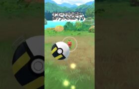 【ポケモンGO】ヤヤコマの色違い初ゲットなるか！？