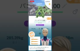 ポケモンGOボックス紹介