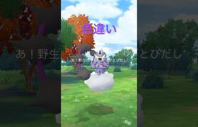 ポケモンGO GOバトルリーグ3勝報酬‼️色違いボルトロスでたー✨