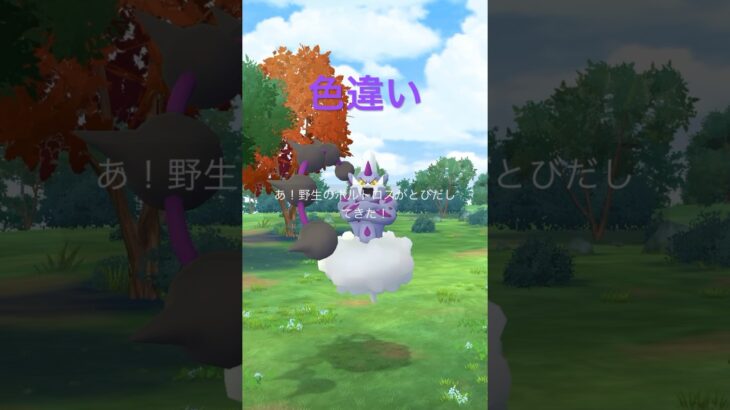 ポケモンGO GOバトルリーグ3勝報酬‼️色違いボルトロスでたー✨