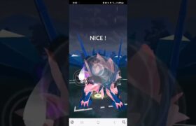 ポケモンGO 通常マスターリーグ ミュウツー、Lカイリュー、ネクロズマ(たそがれ)