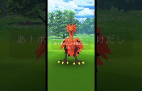 ポケモンGO ガラル三鳥が連チャンで出現したぞ！その確率は？ #ポケモンgo #ガラル三鳥 #おさんぽおこう