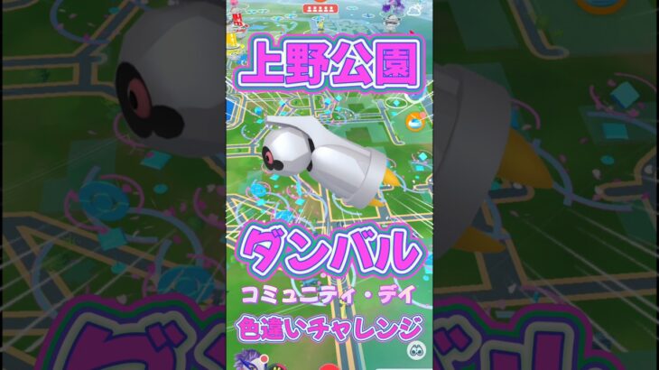 【ポケモンGO】コミュニティ・デイ！ダンバルの色違い何体ゲットできるの？ #ポケモンgo #ポケモン #ポケgo #pokemon #pokemongo #shorts