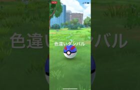 ポケモンGO 色違いダンバル出現！ #pokémon #ポケモンgo