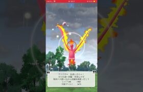 【ポケモンGO】色違いファイヤーゲッチャレ #ポケモン #pokémon #伝説 #pokémongo  #ファイヤー #moltres #shorts #色違い