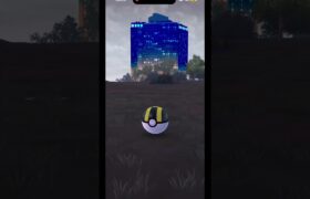 【ポケモンGO】ピカチュウ色違い可愛すぎる！！！ #shorts