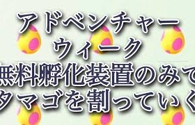 【ポケモンGO】アドベンチャーウィーク 無料孵化装置のみでタマゴを割っていく #shorts