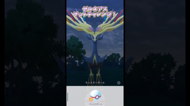 ポケモンGOあるあるゼルネアスゲットチャレンジでチャレンジに無事失敗してしまうとき #shorts @onepoke.