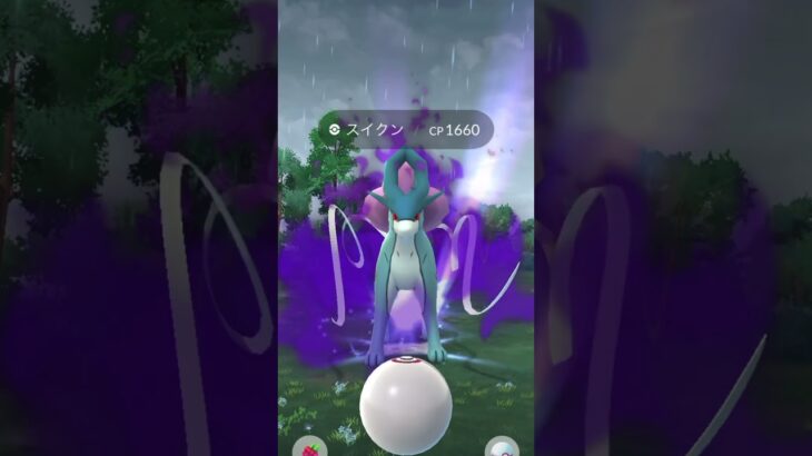 【ポケモンGO】シャドウスイクンゲッチャレ #ポケモン #suicune #ショート #伝説  #pokemongo #シャドウ #shorts #スイクン